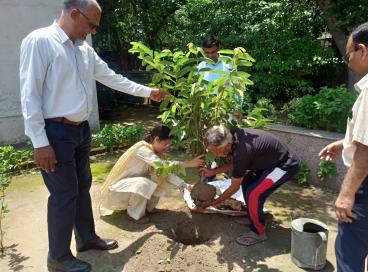 Tree Plantation at DIET Moti Bagh by Director SCERT- Dr. Rita Sharma on the occasion of World Environment Day